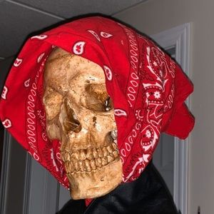 Meet your Posher, Harrison